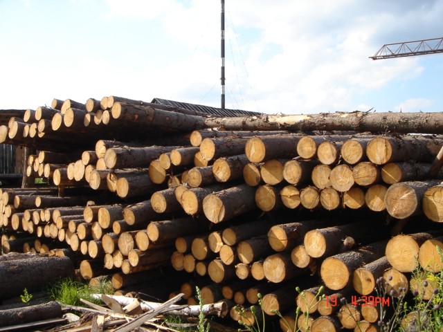 Лесоматериалы на строительной базе - складированный лес